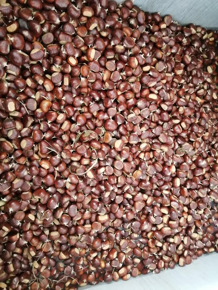 Marroni