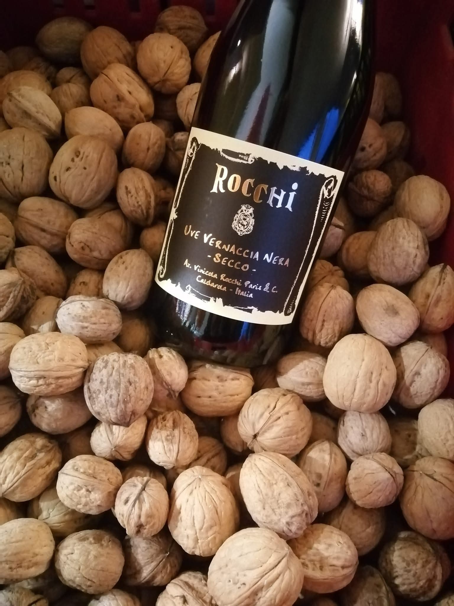 Noci fresche