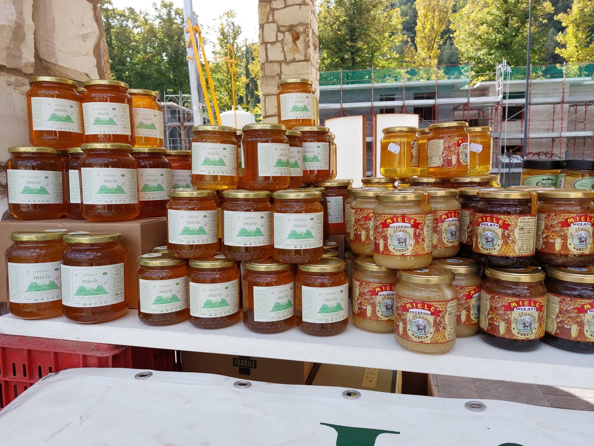 Esposizioni